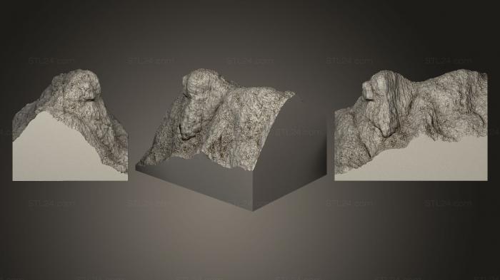 Камни и ракушки (ЛЬВИНАЯ СКАЛА, ROCKS_0009) 3D модель для ЧПУ станка